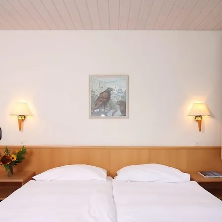 Oberland Hotel 2*
