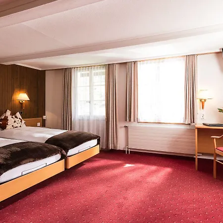 Oberland Hotel 2*
