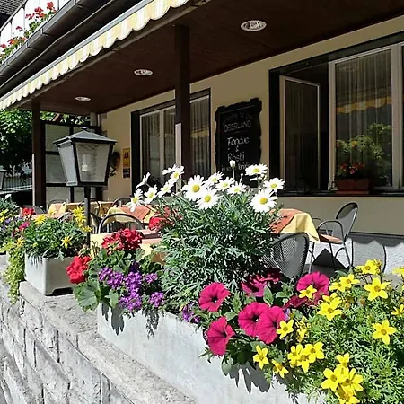 酒店 高地酒店 2*